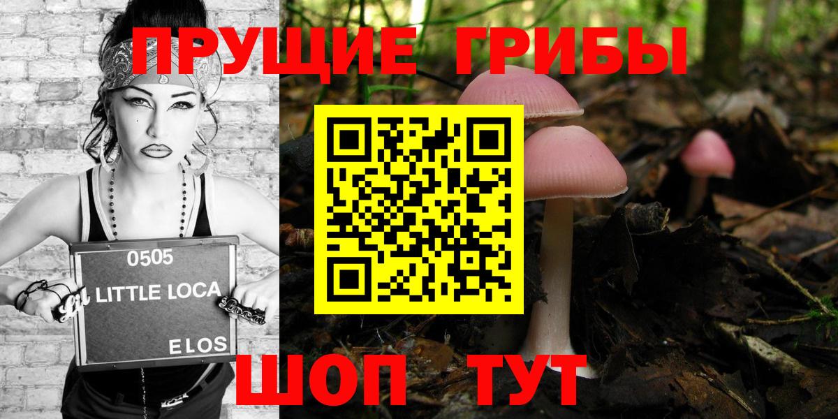 Галлюциногенные грибы Psilocybine cubensis Камышин